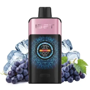 IGET ONE – Grape Ice