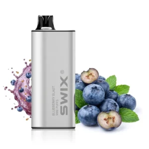 Swix Vape 9000 Puffs – Blueberry mint